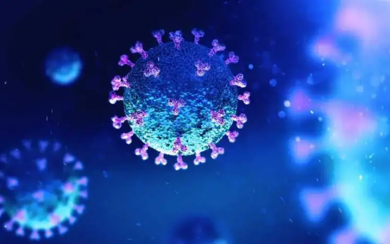 Imagem do coronavírus