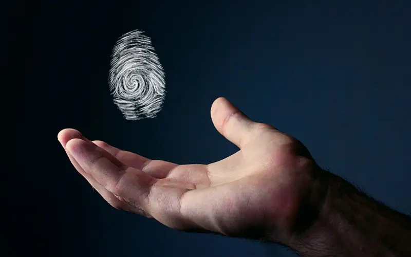 Imagem da palma de uma mão com o desenho de uma digital flutuando em cima, representando a responsabilidade dos dados pessoais
