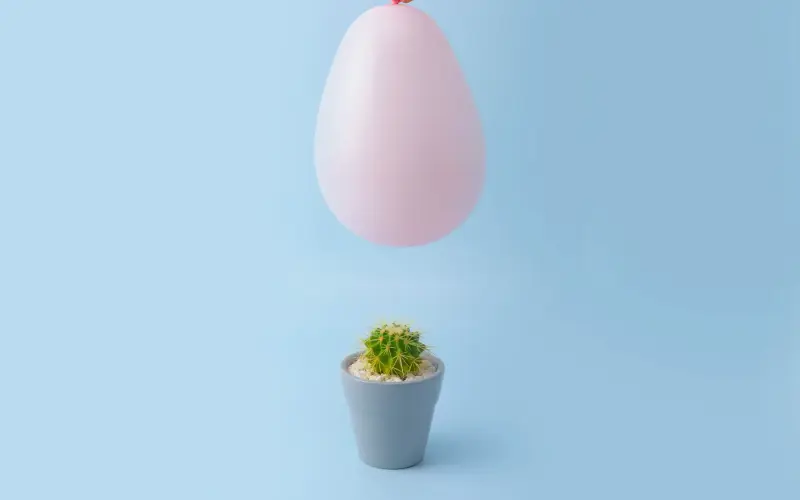 Imagem de um balão rosa em cima de um cacto.